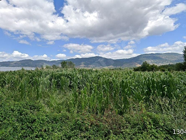 TOKAT TURHAL KARAYOLU ÜZERİNDE 4.632 m2 SATILIK BAHÇE - Görsel 10