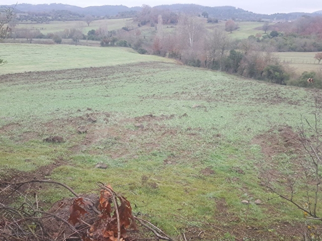 ÇANAKKALE YENİCE SUUÇTU KÖYÜ SATILIK 6940 M2 UYGUN FİYATA TARLA