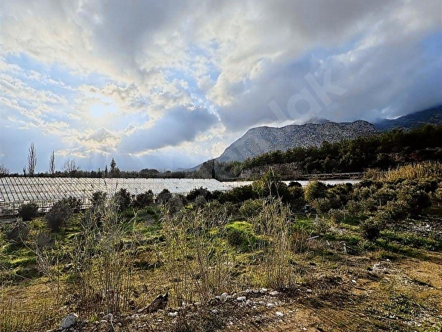 KONYAALTI AŞAĞIKARAMANDA DENİZE SADECE 7 KM SATILIK FIRSAT ARSA - Görsel 5