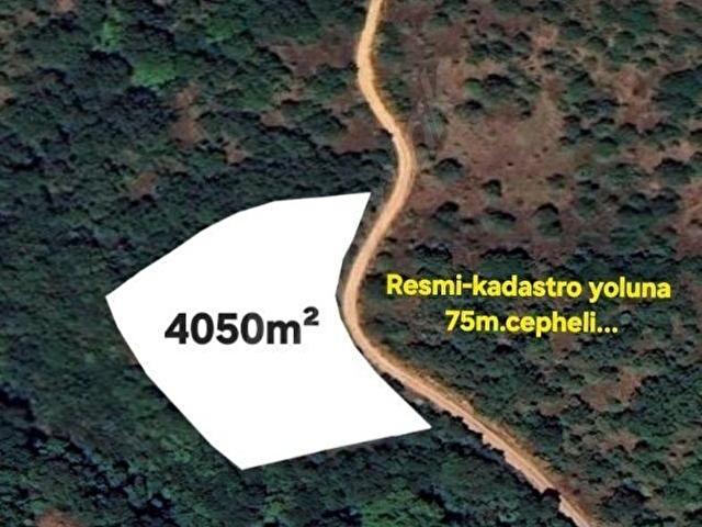 Biga/Harmanlı köyünde resmi yolu olan 4050m²fırsat fiyata. - Görsel 10