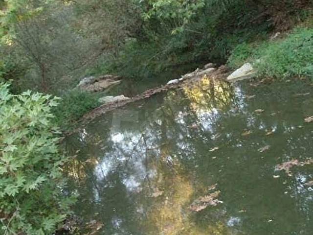 Biga/Harmanlı köyünde resmi yolu olan 4050m²fırsat fiyata. - Görsel 6