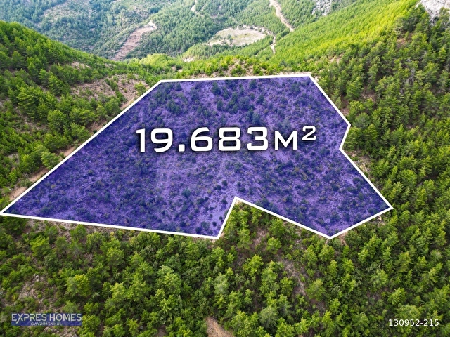 YOLA SIFIR DEMİRTAŞ ÇAMLICADA EMSALSİZ YATIRIM FIRSATI 19.683 m² - Görsel 3