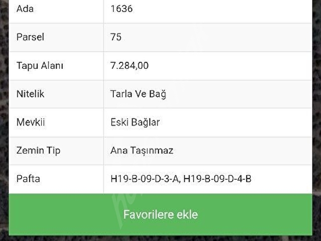 Acil satılık zeytinlik - Görsel 13