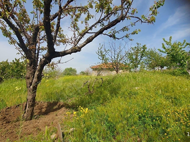 KIRŞEHİR KAMAN MERKEZDE  (HACIPINAR MAH.) SATILIK ARSA - Görsel 6