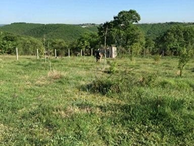 GEBZE DENİZLİ KÖYÜNDE KUZEY OTOBAN ÜSTÜNDE VİLLA İMARLI 1895 M2 KUPON ARSA - Görsel 6