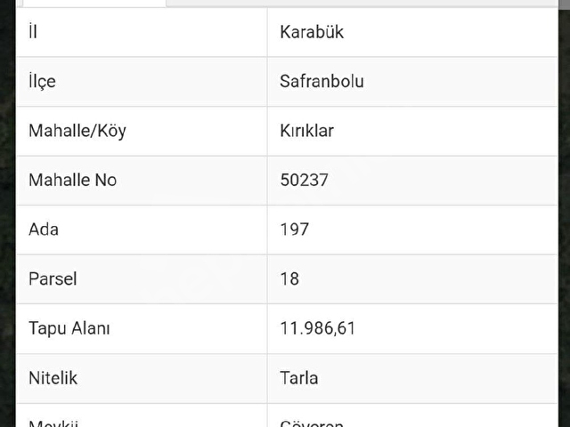 SAFRANBOLU KIRIKLAR KÖYÜNDE 12 DÖNÜM TARLA - Görsel 4