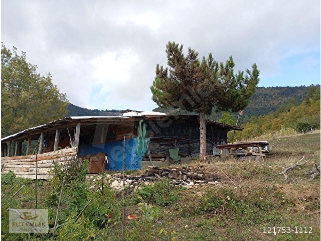 SAFRANBOLU KIRIKLAR KÖYÜNDE 12 DÖNÜM TARLA - Görsel 16