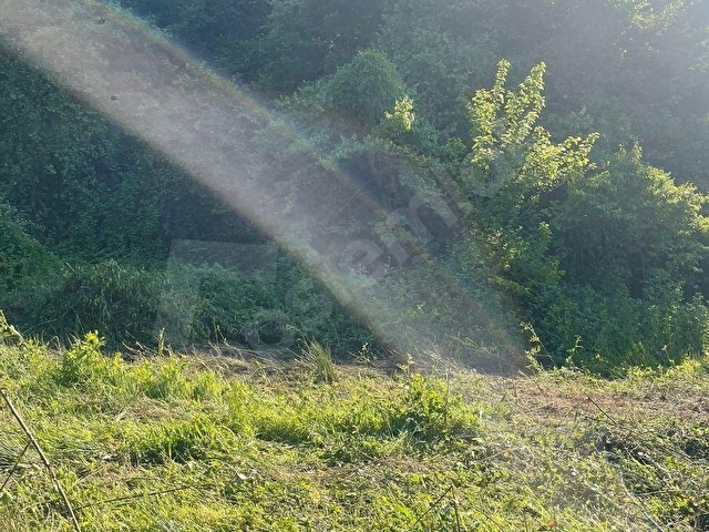 KOCAELİ KARTEPE SUADİYE DE VİLLALİK ARSALAR - Görsel 5