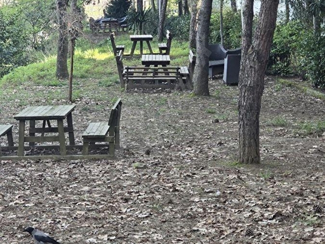 Ali Obuzdan Sakin Sokakta Balkonlu Geniş Daire - Görsel 12