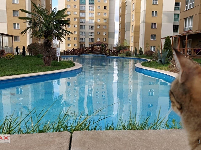 MAHAL SANCAKTEPE SİTE İÇİ KİRALIK 1+1 DAİRE
