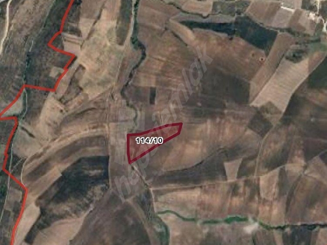 ACİL BALIKESİR BANDIRMA HIDIRKÖY DE SATILIK 32 DÖNÜM TARLA - Görsel 3