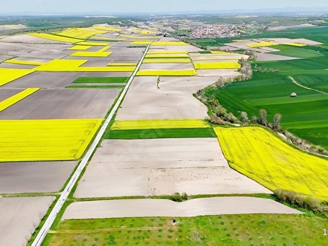 BABAESKİ MÜSELLİMDE 3880 M2 ASFALT CEPHE SATILIK TARLA - Görsel 5