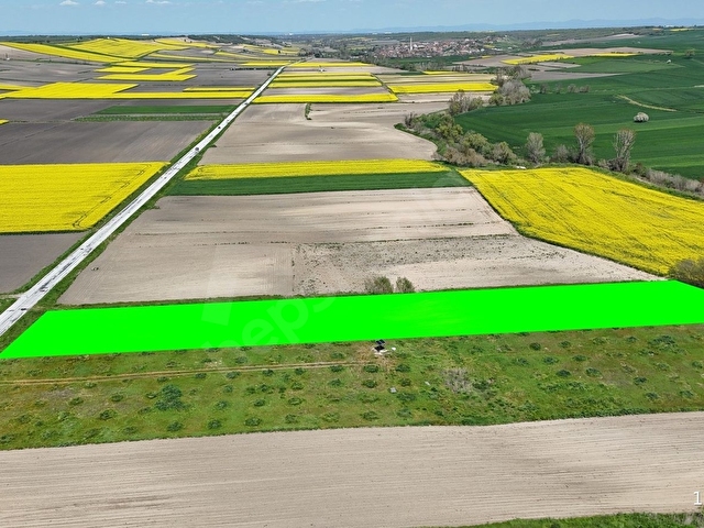 BABAESKİ MÜSELLİMDE 3880 M2 ASFALT CEPHE SATILIK TARLA