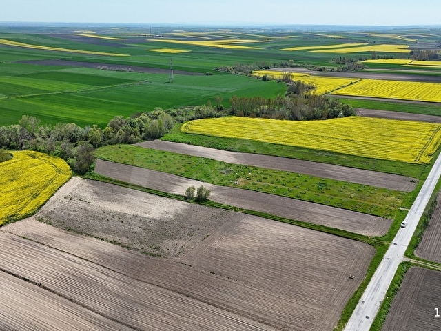 BABAESKİ MÜSELLİMDE 3880 M2 ASFALT CEPHE SATILIK TARLA - Görsel 15