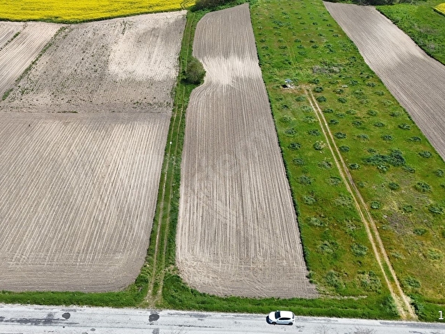 BABAESKİ MÜSELLİMDE 3880 M2 ASFALT CEPHE SATILIK TARLA - Görsel 18