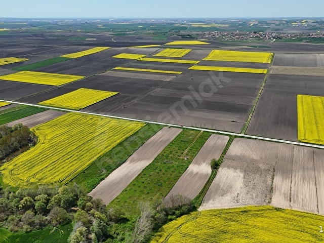 BABAESKİ MÜSELLİMDE 3880 M2 ASFALT CEPHE SATILIK TARLA - Görsel 10