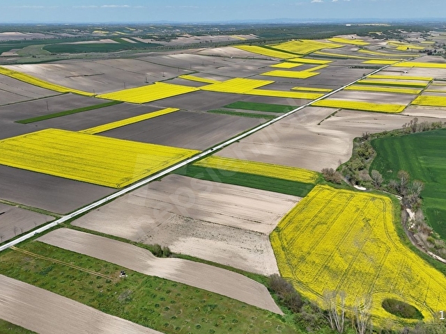 BABAESKİ MÜSELLİMDE 3880 M2 ASFALT CEPHE SATILIK TARLA - Görsel 7