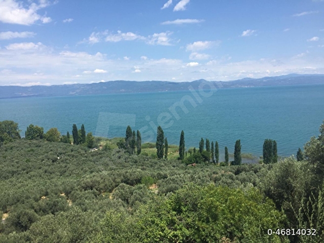 Narlıca gemlik iznik yoluna çok yakın yatırımlık arazi - Görsel 4