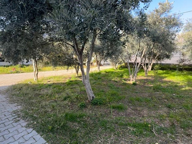 FETHİYE KARGI MAH.SATILIK 750 M2 PARSEL - Görsel 5