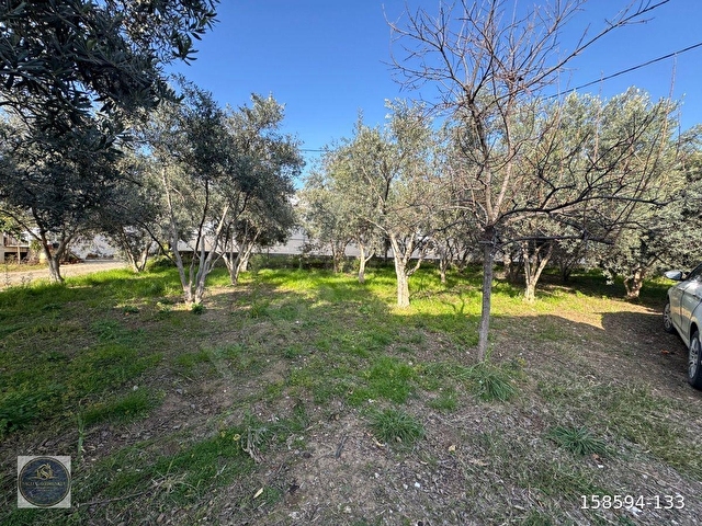 FETHİYE KARGI MAH.SATILIK 750 M2 PARSEL - Görsel 6