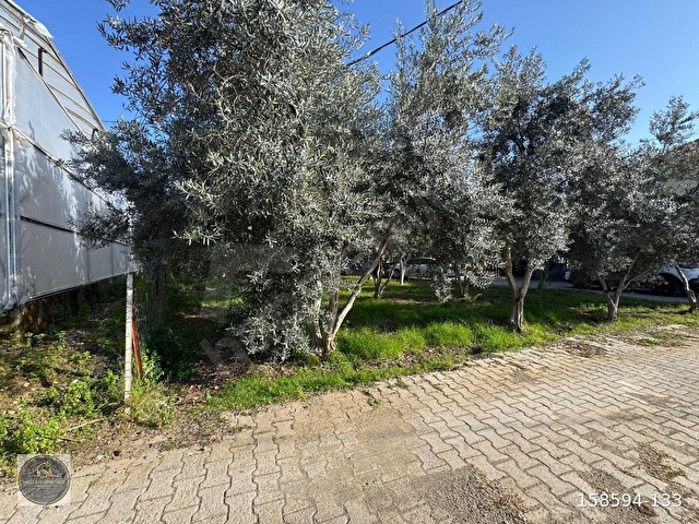 FETHİYE KARGI MAH.SATILIK 750 M2 PARSEL - Görsel 8