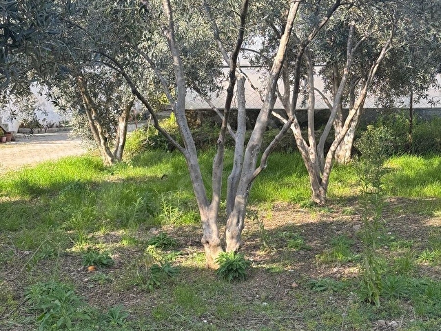 FETHİYE KARGI MAH.SATILIK 750 M2 PARSEL - Görsel 10