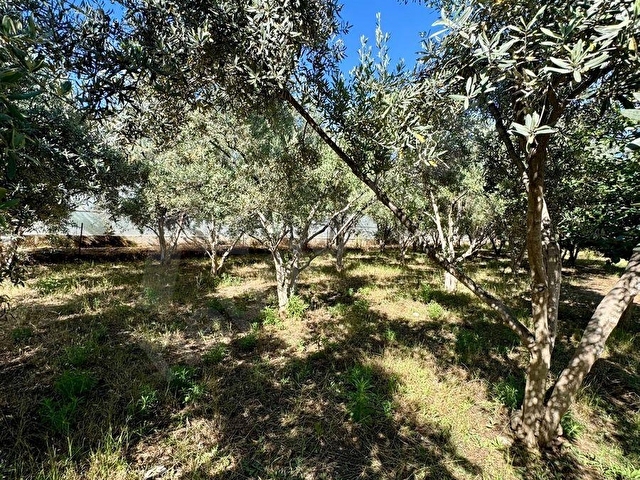 FETHİYE KARGI MAH.SATILIK 750 M2 PARSEL - Görsel 12