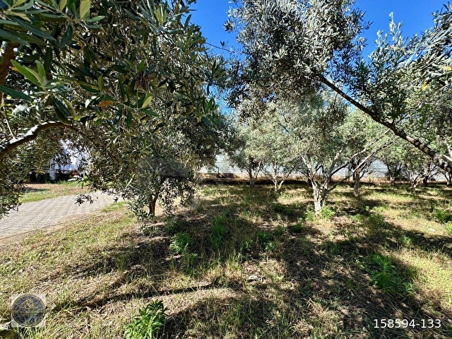 FETHİYE KARGI MAH.SATILIK 750 M2 PARSEL - Görsel 14
