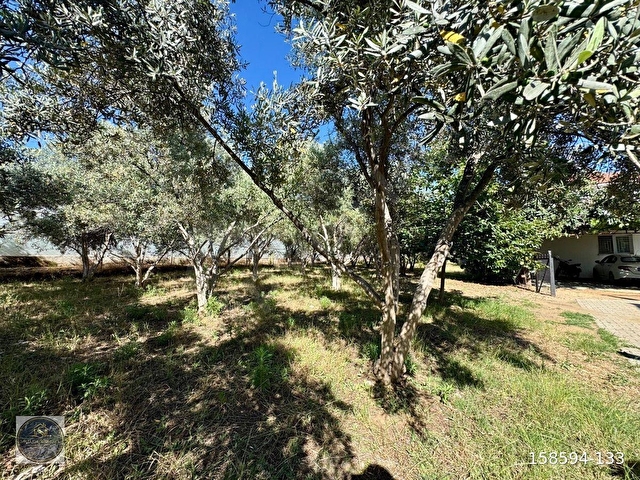 FETHİYE KARGI MAH.SATILIK 750 M2 PARSEL - Görsel 15