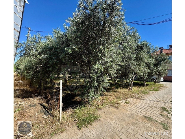 FETHİYE KARGI MAH.SATILIK 750 M2 PARSEL - Görsel 17
