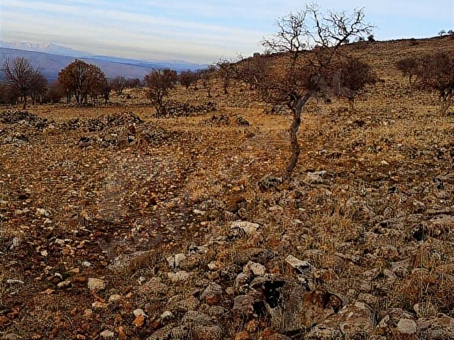 YAVUZELİ AKBAYIR KÖYÜNDE SATLIK ARAZİ - Görsel 12