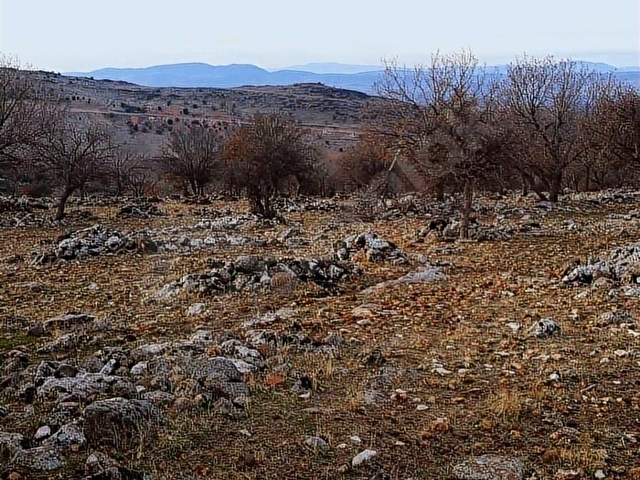 YAVUZELİ AKBAYIR KÖYÜNDE SATLIK ARAZİ - Görsel 14