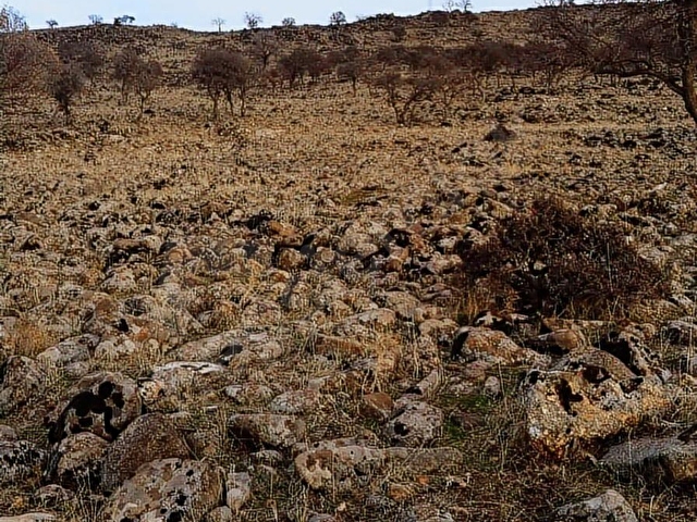 YAVUZELİ AKBAYIR KÖYÜNDE SATLIK ARAZİ - Görsel 13