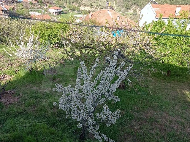 DEMİRCİDE MUHTEŞEM KÖY EVİ - Görsel 3