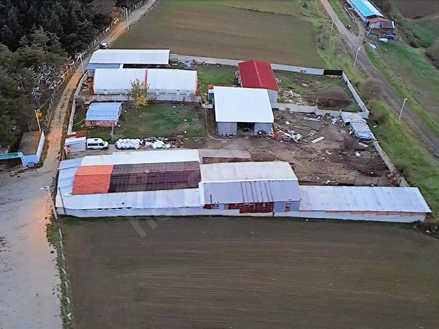 KISA SÜRELİĞİNE TEKİRDAĞ MERKEZE 15 DK MESAFEDE FIRSAT ÇİFTLİK - Görsel 3