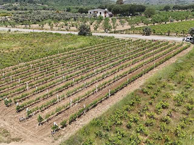 KUŞADASI ÇINAR KÖYÜNE BAĞLI ANA YOLA CEPHELİ 2.153 M2 BAHÇE - Görsel 17