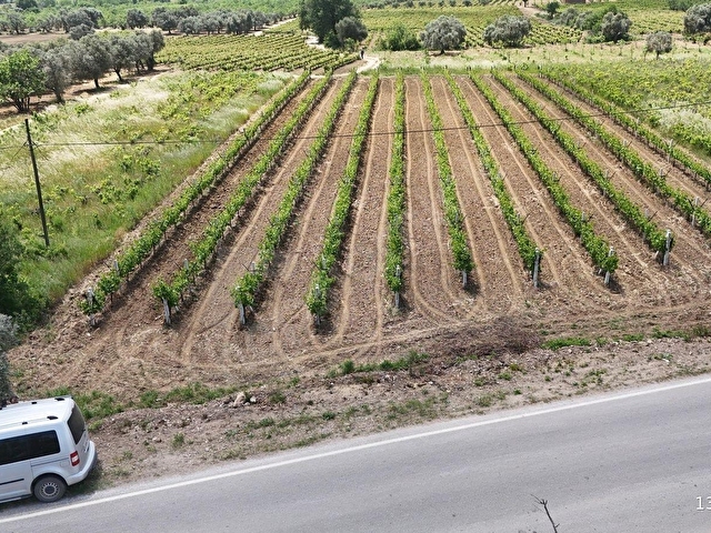 KUŞADASI ÇINAR KÖYÜNE BAĞLI ANA YOLA CEPHELİ 2.153 M2 BAHÇE - Görsel 6
