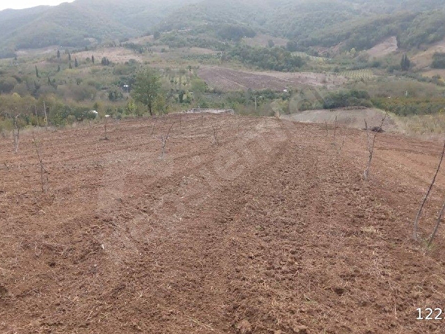 KARAMÜRSEL HAYRİYE MAHALLESİ SATILIK TARLA