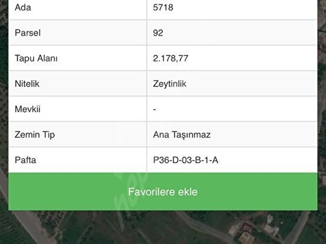 Ekinci mahallesi otogara kaymakamlığa yakın konumda zeytinlik - Görsel 2