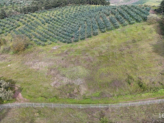 BURSA OSMANGAZİ SELÇUKGAZİDE KADASTRO YOLLU 13.600m² YATIRIMLIK - Görsel 2