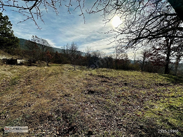 BURSA ORHANELİ SÖĞÜTTE KÖY İÇERİSİNDE 3867m2 FIRSAT TARLA - Görsel 16