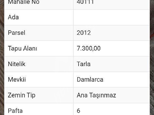 KEMER PINARBAŞIN DA AKÖREN ÇALLICA ASFALT YOLUNA 70 METRE CEPELİ 7300 M2 - Görsel 5