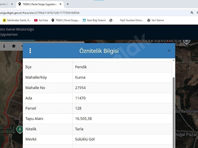 istanbul pendik kurna satılık 515 m2 hisse