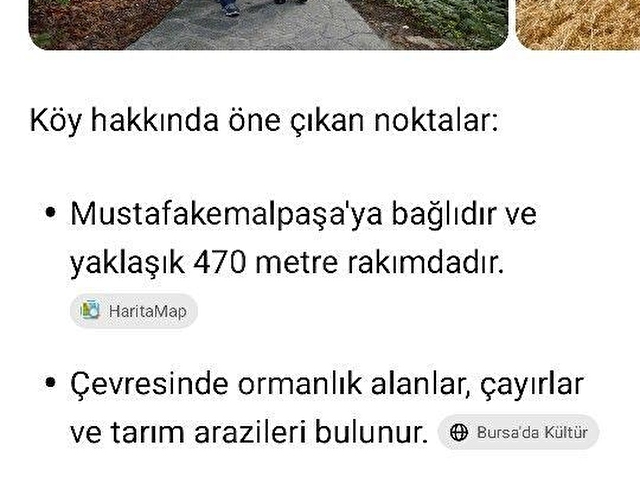 my EKİPdenBURSA MUSTAFAKEMALPAŞA AĞAÇLIDA KÖYİÇİ İMARLI HESAPLI ARSA...... - Görsel 6