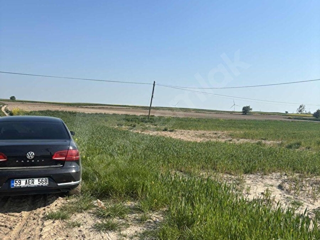 ERGENE ULAŞ İMAR İÇERİSİNDE TARLA 5.902 m2 - Görsel 6