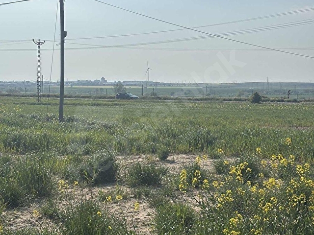 ERGENE ULAŞ İMAR İÇERİSİNDE TARLA 5.902 m2 - Görsel 8