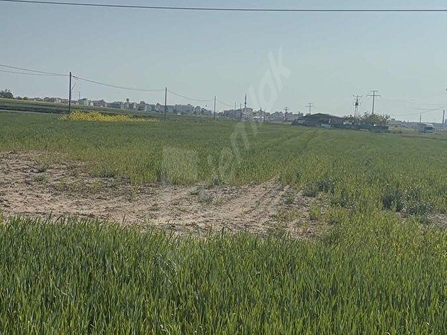 ERGENE ULAŞ İMAR İÇERİSİNDE TARLA 5.902 m2