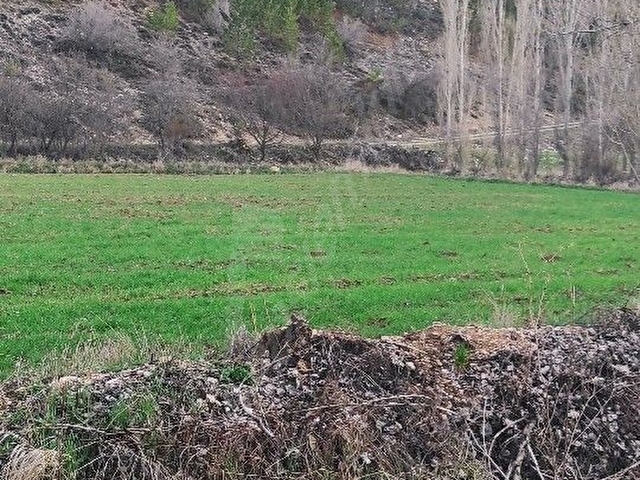 BAŞARAKAVAKTA DERE KENARINDA ORMANA CEPHE SATILIK BAHÇE TARLA