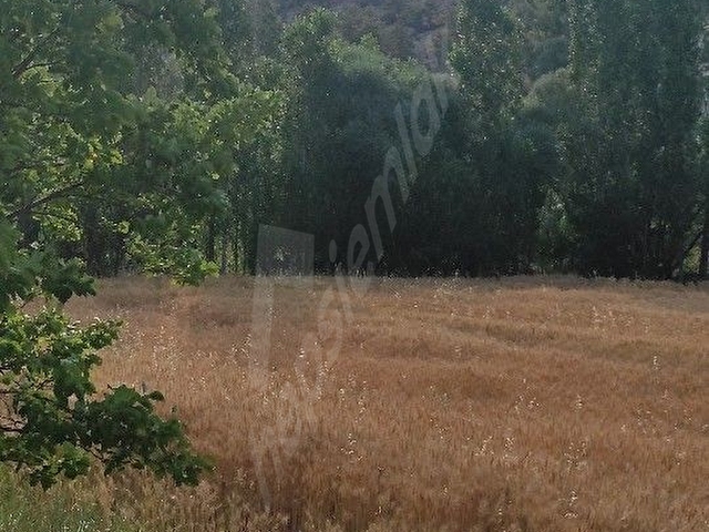 BAŞARAKAVAKTA DERE KENARINDA ORMANA CEPHE SATILIK BAHÇE TARLA - Görsel 14