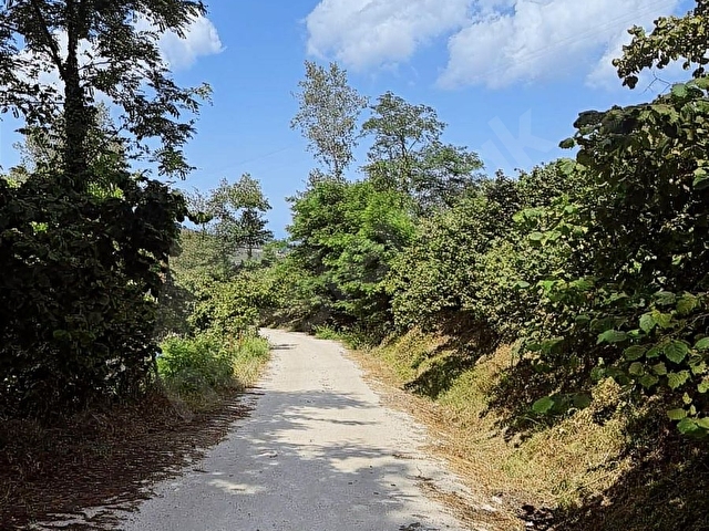 ORDU/PERŞEMBE/BEKİRLİDE 1 DÖNÜM FINDIK BAHÇESİ - Görsel 25
